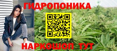 PSILOCYBIN Кулебаки