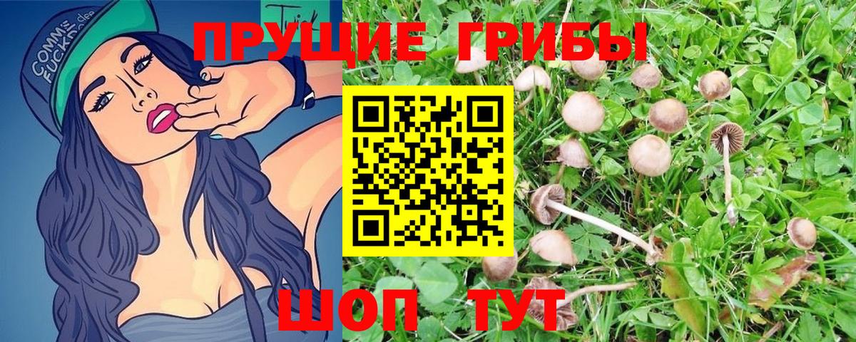Галлюциногенные грибы Cubensis  Вход с VPN  Галлюциногенные грибы MAGIC MUSHROOMS  Ишимбай 
